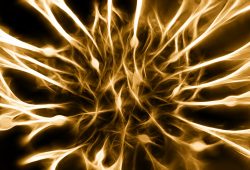 Erkrankungen des peripheren Nervensystems: Ursachen und Behandlung von Polyneuropathie